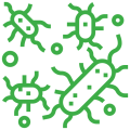 bacterias bacterias