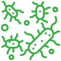 bacterias