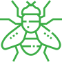 mosca