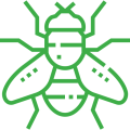 mosca
